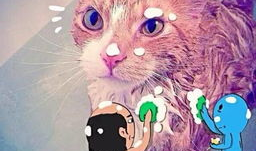 韩国漫画玩火,禁忌之恋的火焰燃烧